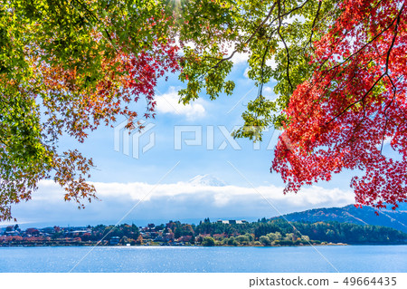 Beautiful landscape of mountain fuji with maple leaf tree around lake Beautiful landscape of mountain fuji with maple leaf tree around lake 49664435