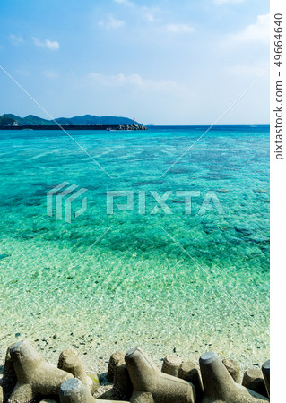 座間味島 49664640