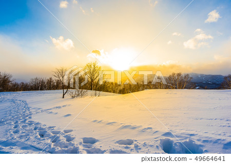 Beautiful landscape with mountain around tree in snow winter season at sunset time 49664641