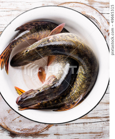 Raw whole fish 49665315