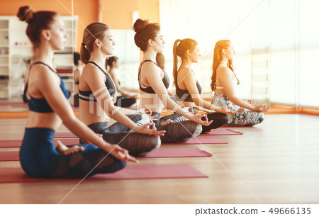 group of people engaged in yoga class meditate in group of people engaged in yoga class meditate in 49666135