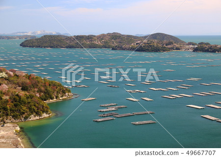 Mushiaki's Oyster Raft/Spring [Setouchi City, Okayama Prefecture] 49667707