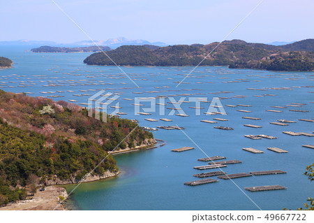 Mushiaki's Oyster Raft/Spring [Setouchi City, Okayama Prefecture] 49667722