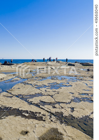 [神奈川縣]江之島鹿兒高地 49668040