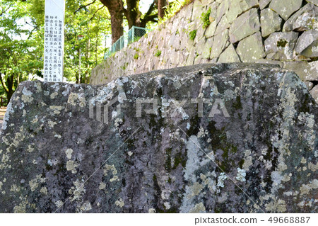 Kumamoto flower Okayama park Kato Kiyomasa sitting stone Kumamoto flower Okayama park Kato Kiyomasa sitting stone 49668887