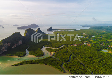 Green deep mangrove forest sea bay morning sunrise Green deep mangrove forest sea bay morning sunrise 49669486