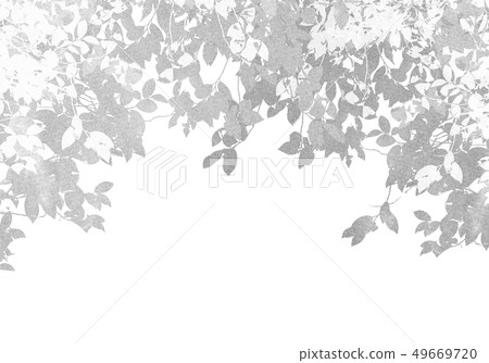Leaky Leaf Texture Background Material Leaky Leaf Texture Background Material 49669720