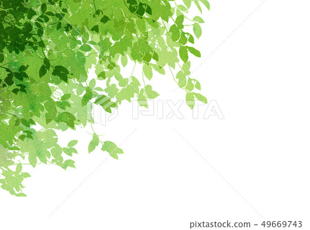 Leaky Leaf Texture Background Material - Stock Illustration [49669743] -  PIXTA