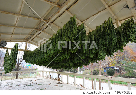 Drying Drying 49670192