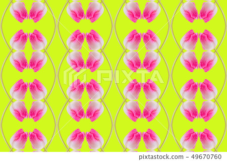 鬱金香樣式，綠色背景 49670760