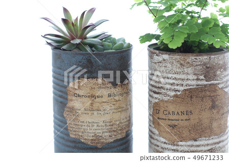 Houseplants in remake can be decorated over white curtain Houseplants in remake can be decorated over white curtain 49671233