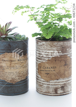 Houseplants in remake can be decorated over white curtain Houseplants in remake can be decorated over white curtain 49671234