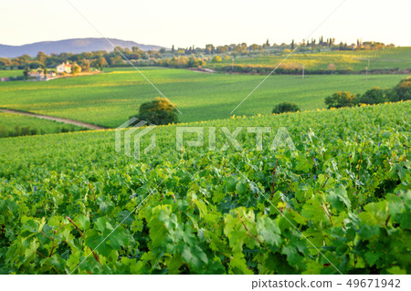 Landscape in Tuscany Landscape in Tuscany 49671942