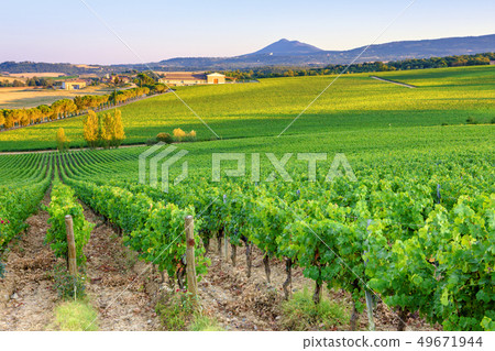 Landscape in Tuscany Landscape in Tuscany 49671944