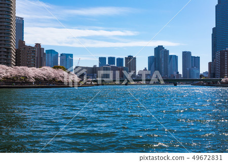(東京都市風景)沿著海濱新川6號的一個場景 (東京都市風景)沿著海濱新川6號的一個場景 49672831