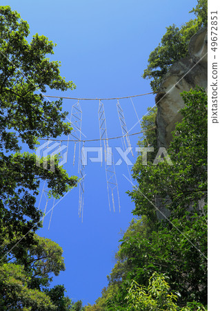 Tsunagake Shrine Tsunagake Shrine 49672851