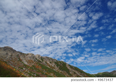 Ontakesan autumn leaves 49673437