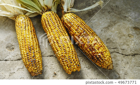 barbecue, Corn grill, macro, bbq America, Picnic, barbecue, Corn grill, macro, bbq America, Picnic, 49673771