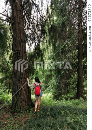 woman with backpack walking in the forest 49673890