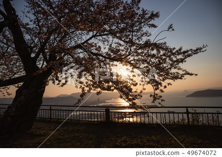 矢島櫻花和日落高松港(高松市,香川縣) 矢島櫻花和日落高松港(高松市,香川縣) 49674072