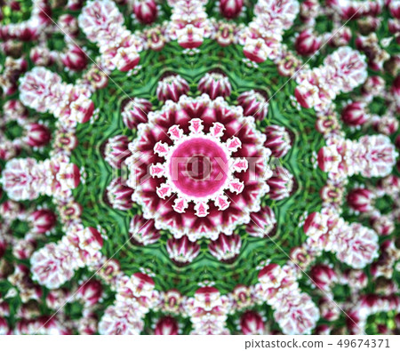 花曼陀羅 花曼陀羅 49674371