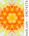 Flower mandala 49674374