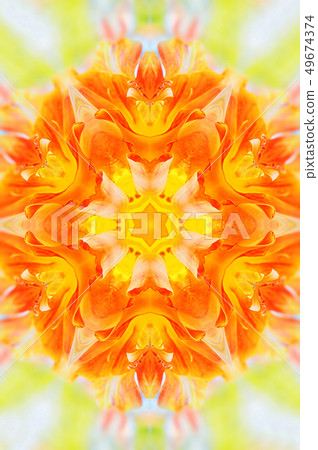 Flower mandala Flower mandala 49674374