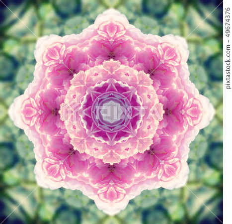 Flower mandala 49674376