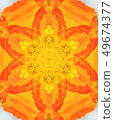 Flower mandala 49674377