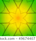 Leaf vein texture 49674407