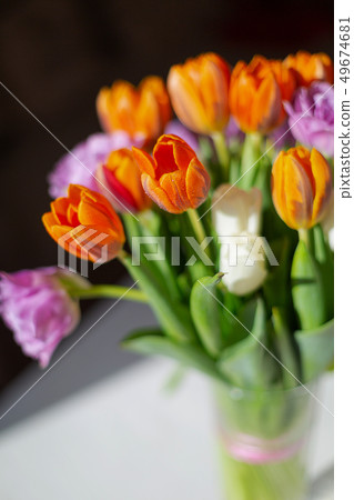 Bouquete of colorful spring tulips in a sunny day Bouquete of colorful spring tulips in a sunny day 49674681