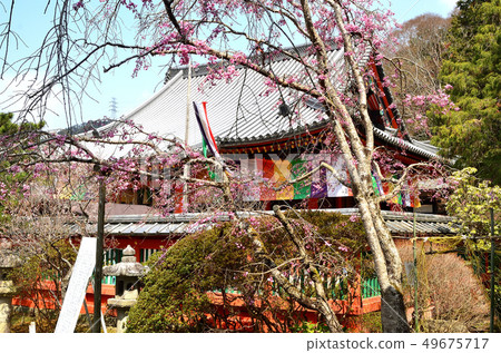 Bishamondo main hall Bishamondo main hall 49675717