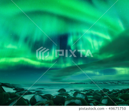 Aurora borealis over ocean. Northern lights in Aurora borealis over ocean. Northern lights in 49675750