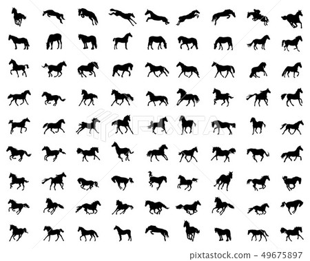Big set of horses silhouettes on a white backgroun 49675897