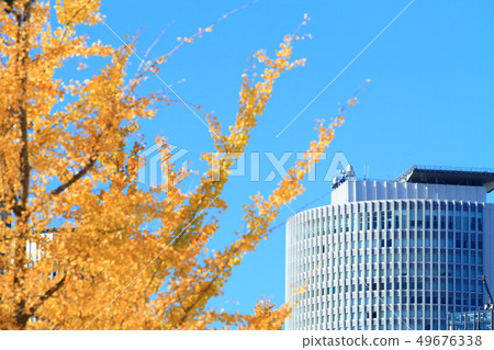 名古屋市市風景在秋天 名古屋市市風景在秋天 49676338