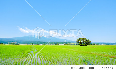 從Yusa看到的初夏的Chokai山 49676575