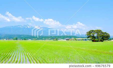 從Yusa看到的初夏的Chokai山 從Yusa看到的初夏的Chokai山 49676579