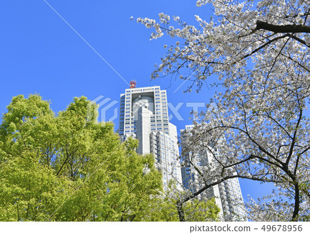 Tokyo cityscape in Japan Sakura and Tokyo Metropolitan Government 49678956
