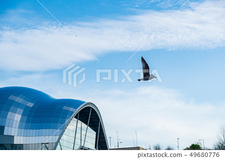 Seagull flying past the Sage Gateshead concert 49680776