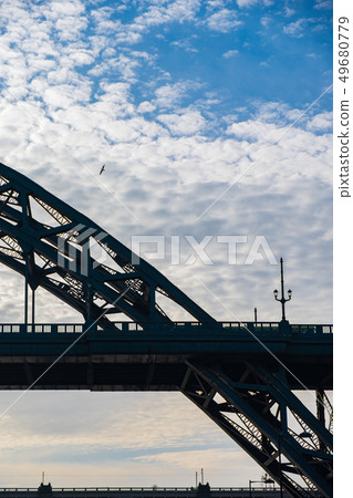 Silhouette of Tyne Bridge and a flying Sea Gull Silhouette of Tyne Bridge and a flying Sea Gull 49680779