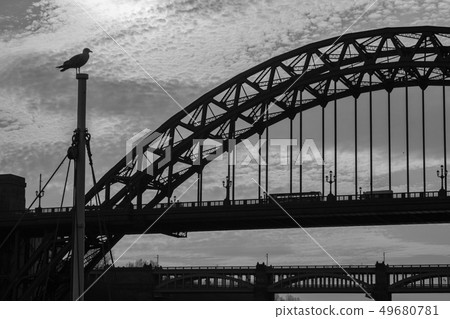 Silhouettes of a Sea Gull sitting on a mast and 49680781