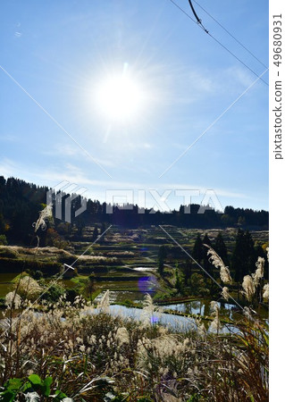 秋田的田田(新潟縣) 秋田的田田(新潟縣) 49680931