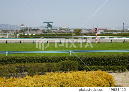 Hanshin Racecourse-Shiba Course last straight line (2) Hanshin Racecourse-Shiba Course last straight line (2) 49681423