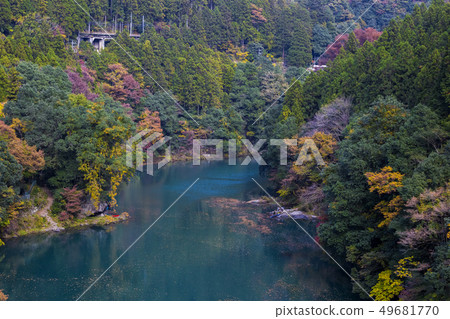 Okutama Hakumaru Akikei 49681770