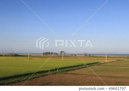 Joban Line, landscape from the car window Joban Line, landscape from the car window 49681797