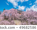 Ueda City, Nagano Prefecture Ueda Castle and Sakura 49682586