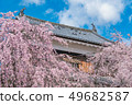 Ueda City, Nagano Prefecture Ueda Castle and Sakura 49682587