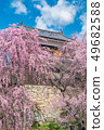 Ueda City, Nagano Prefecture Ueda Castle and Sakura 49682588