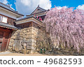Ueda City, Nagano Prefecture Ueda Castle and Sakura 49682593