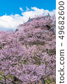 Ueda City, Nagano Prefecture Ueda Castle and Sakura 49682600